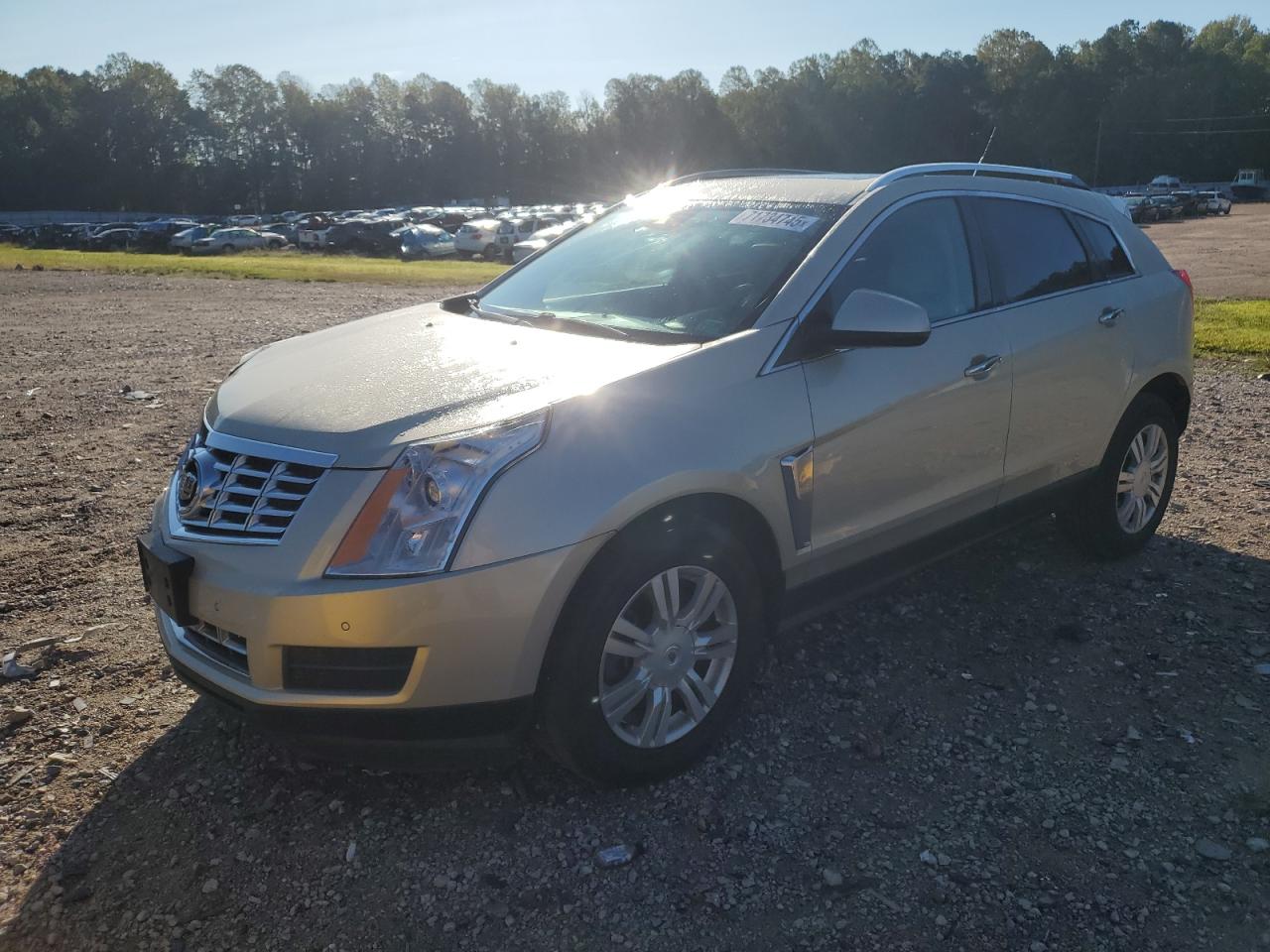 2013 Cadillac Srx luxury LUXURY COLLECTION