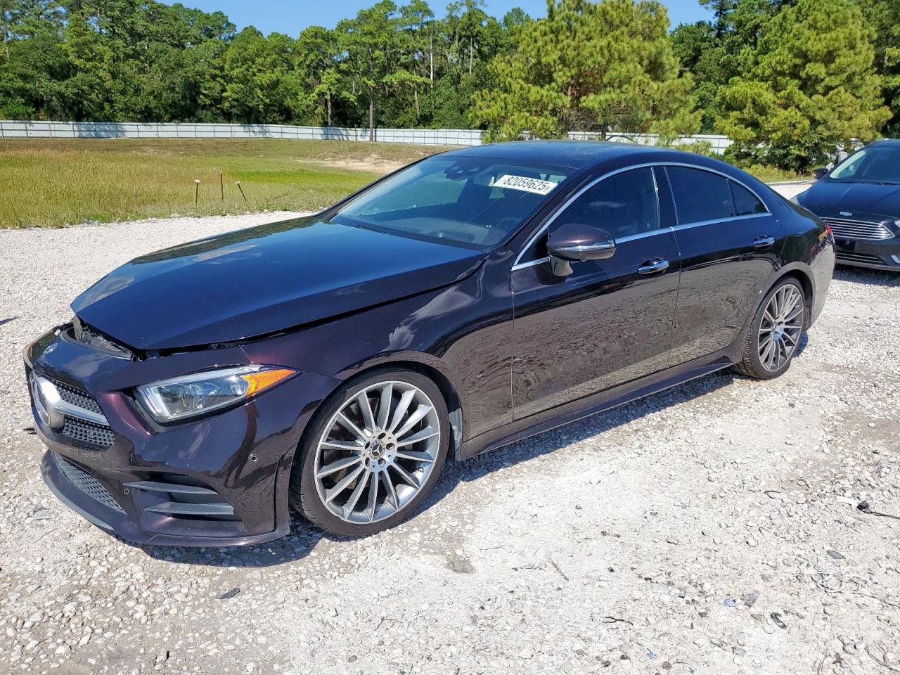 2019 Mercedes-benz Cls-class Cls 450