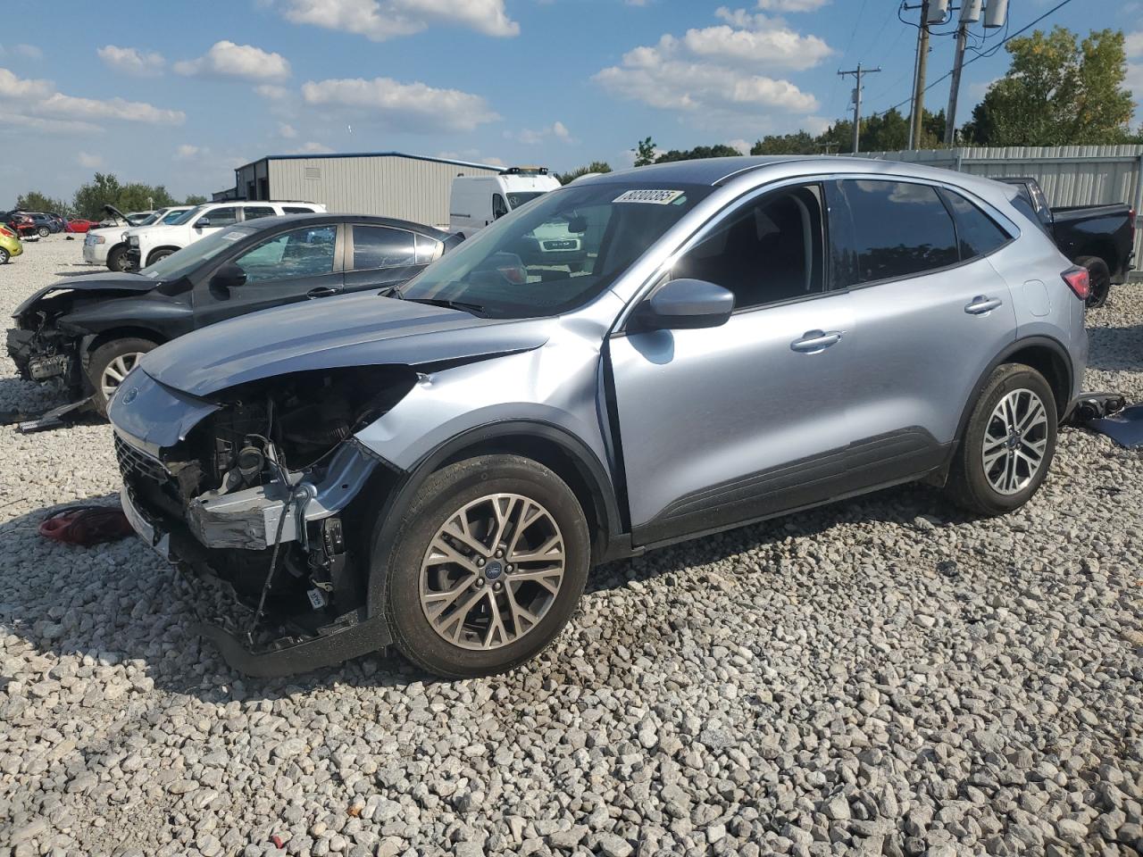 2022 Ford Escape sel SEL