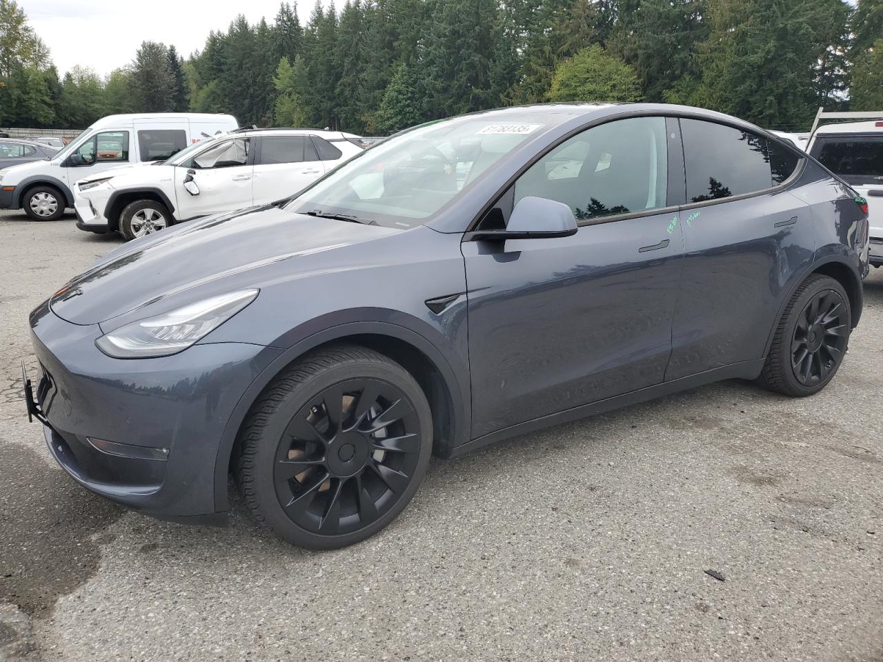 2020 Tesla Model y