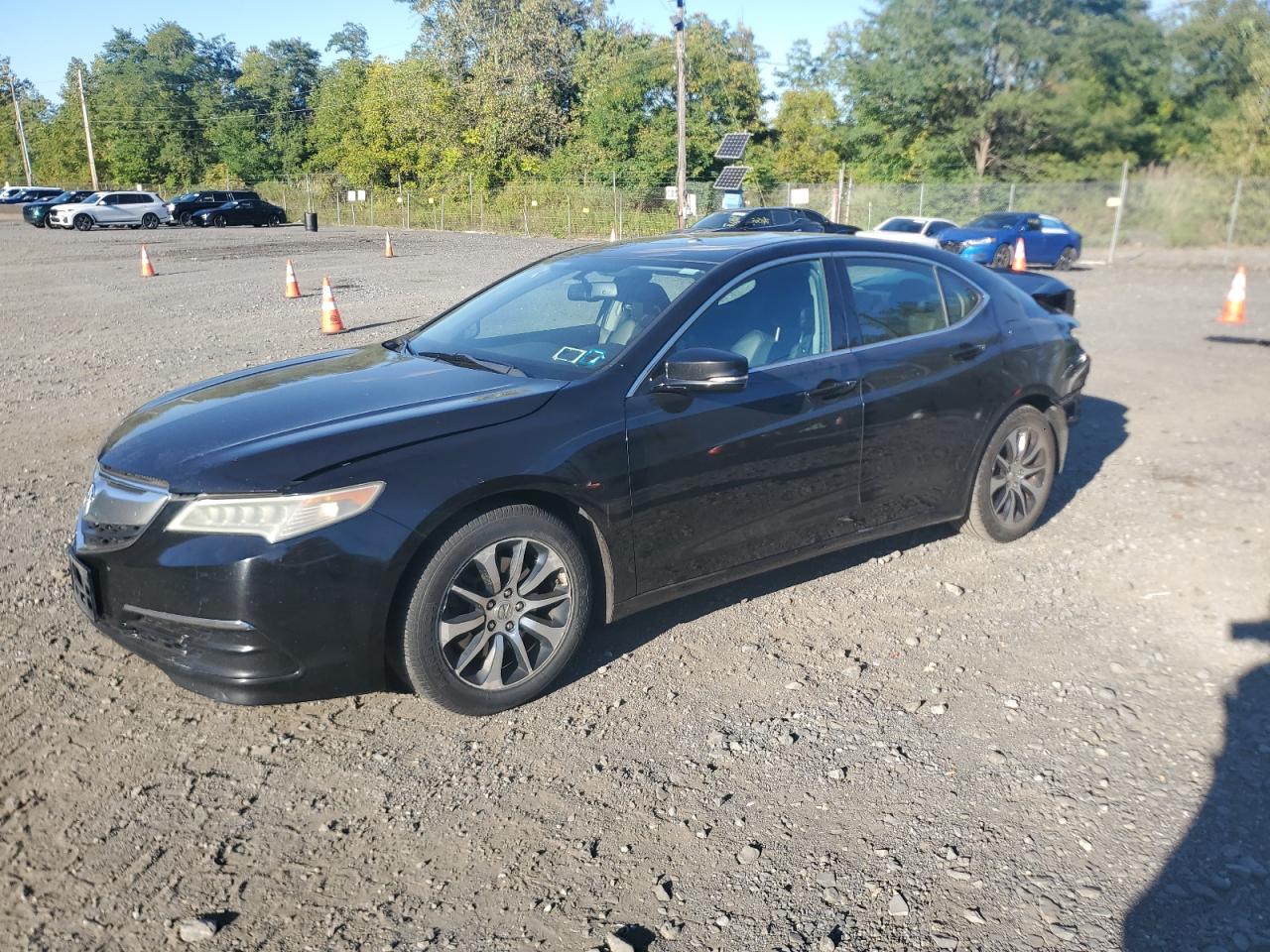 2015 Acura Tlx