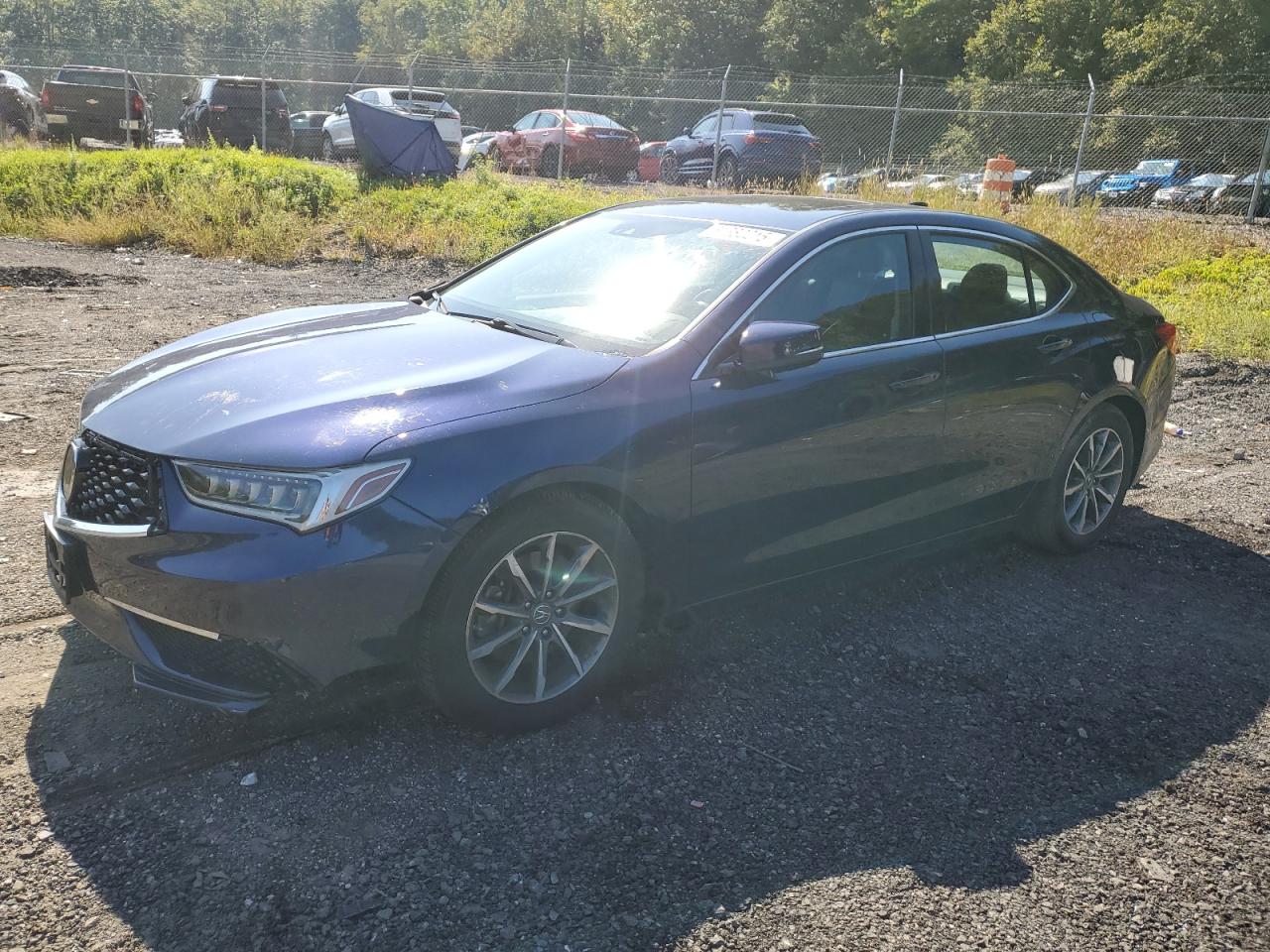 2019 Acura Tlx Technology