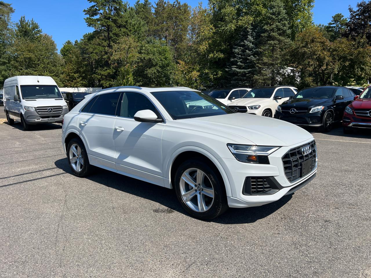 2019 Audi Q8