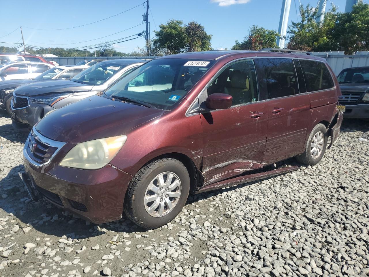 2010 Honda Odyssey exl EXL