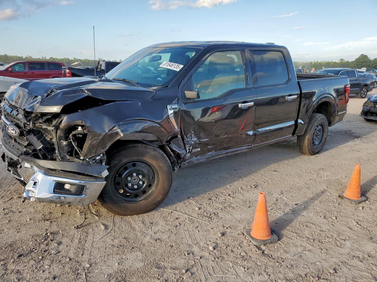 2024 Ford F150 xlt XLT