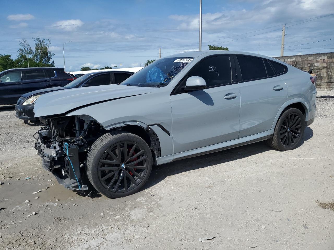 2024 BMW X6