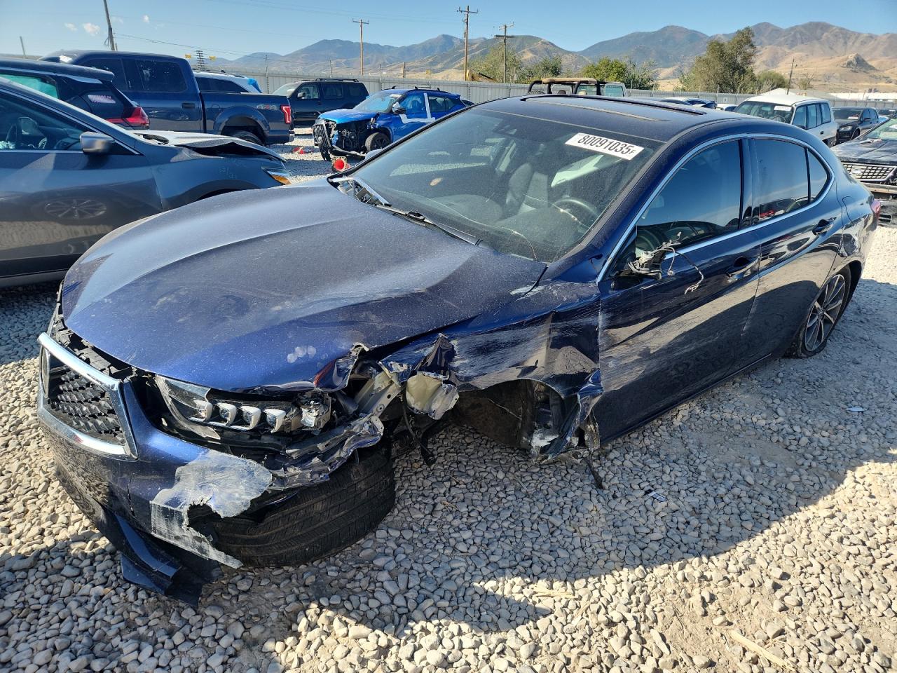 2019 Acura TLX