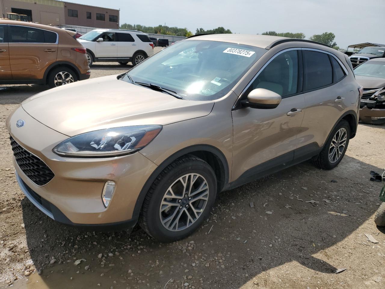 2020 Ford Escape sel SEL