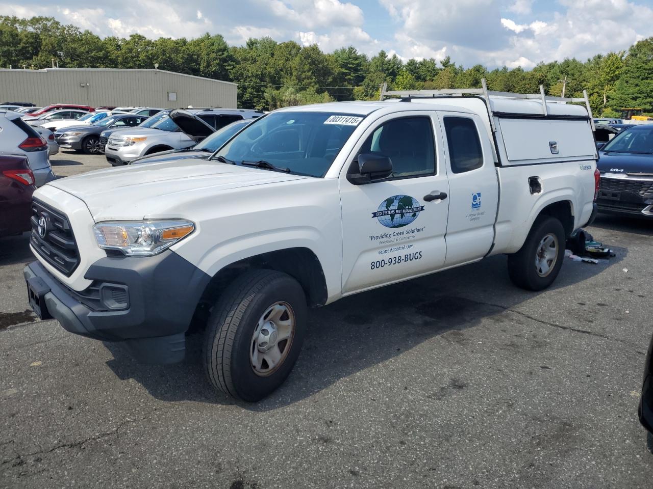 Toyt Tacoma access cab