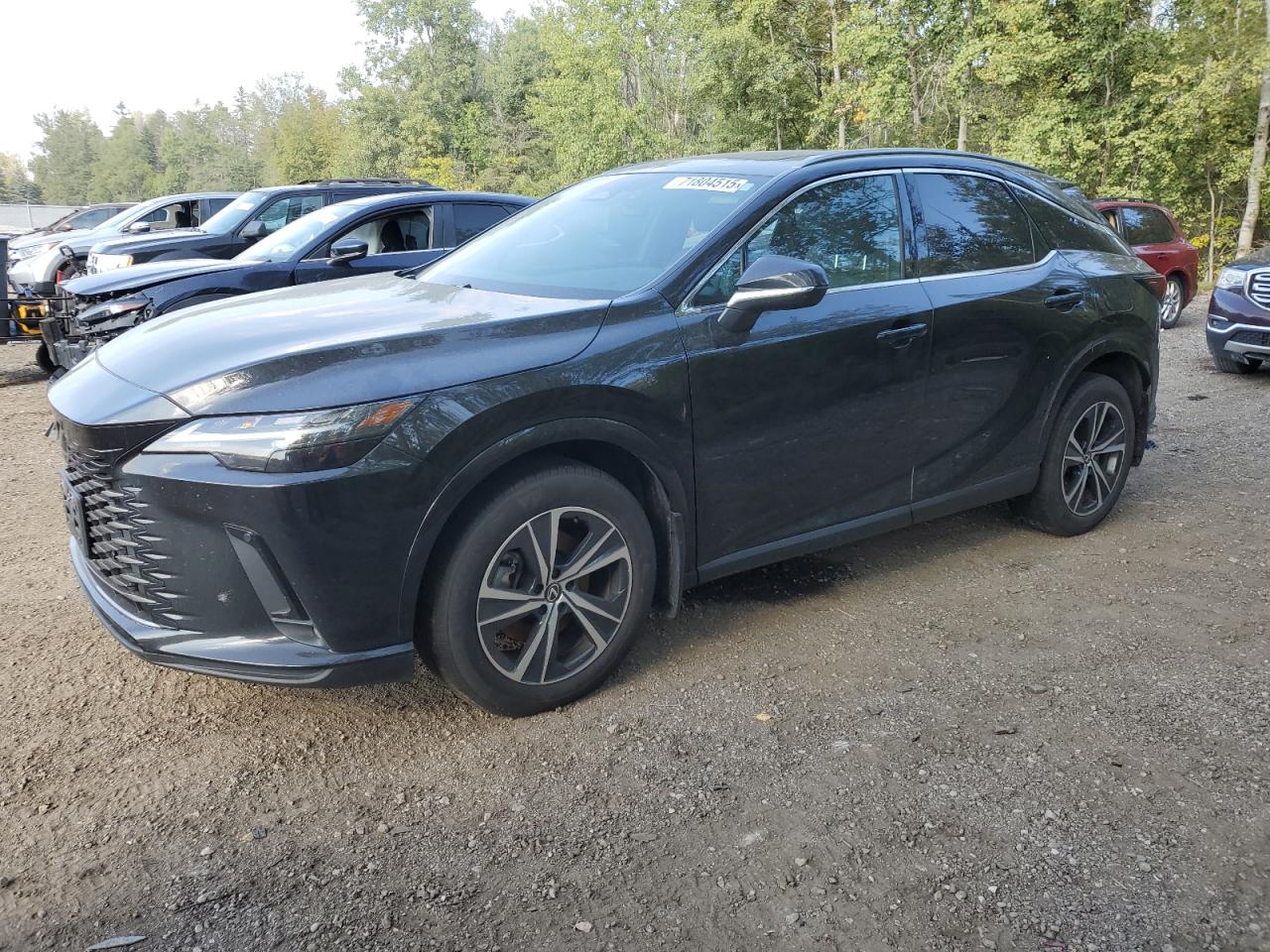 2024 Lexus Rx