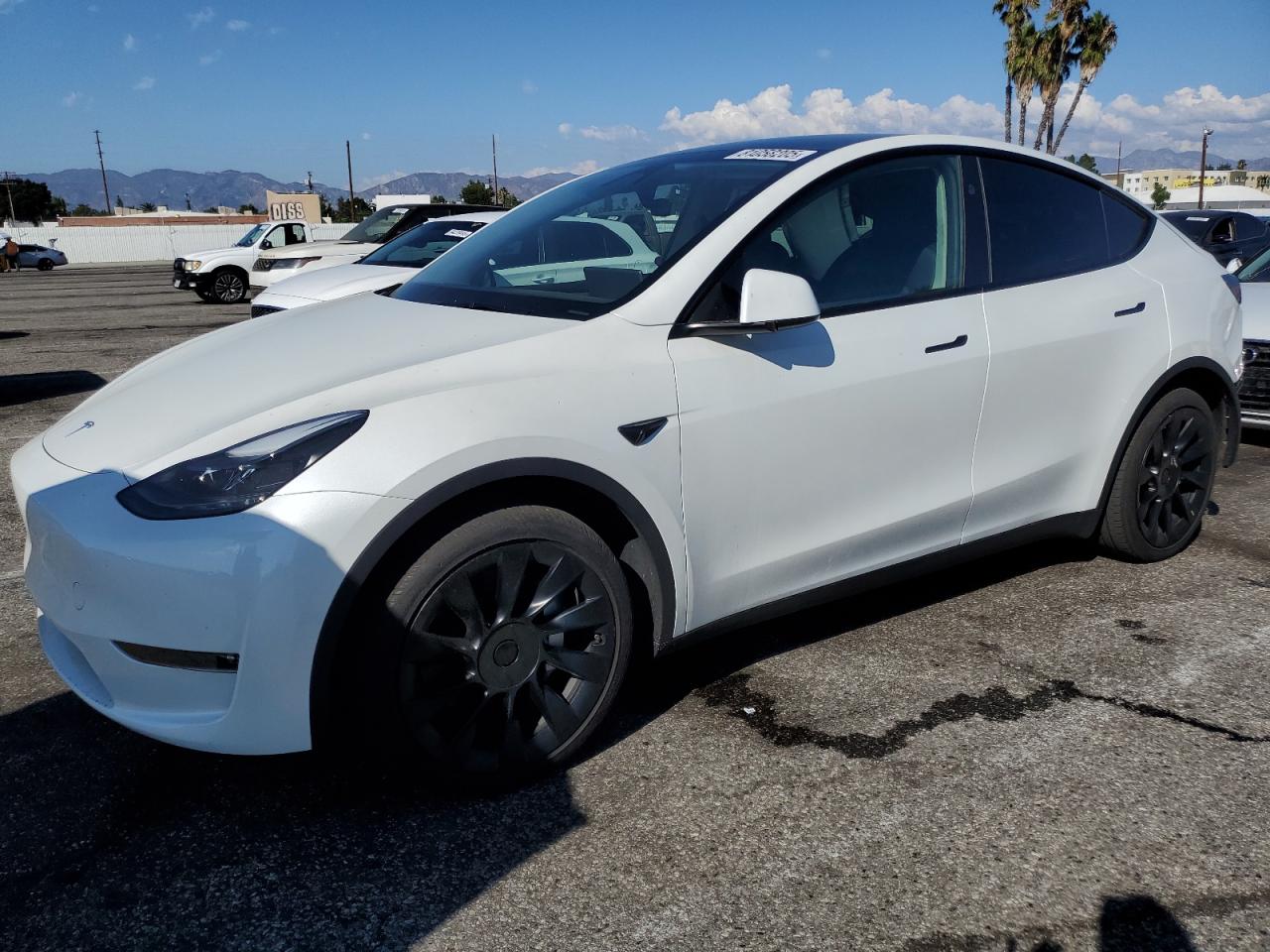 2024 Tesla Model y
