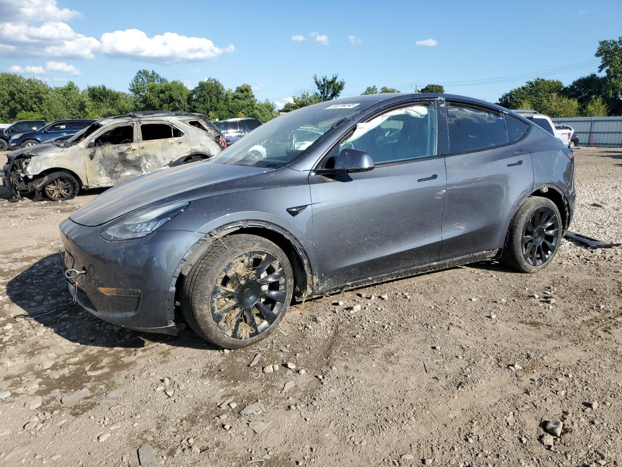2020 Tesla Model y