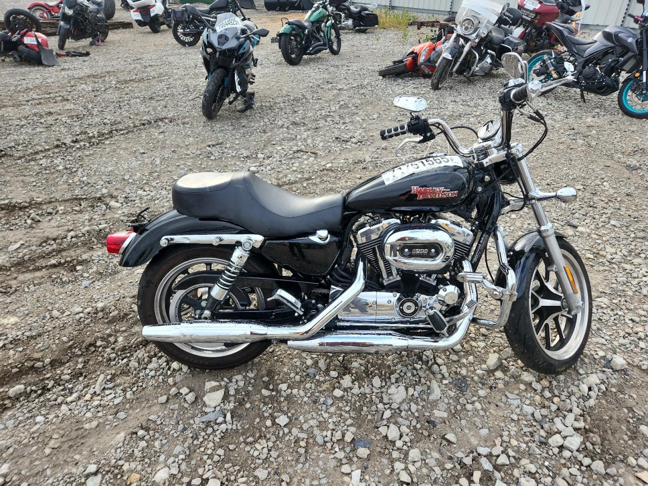 Harley-davidson Xl1200 t