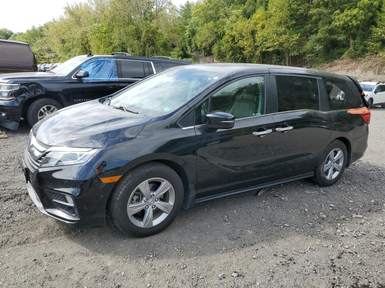 2019 Honda Odyssey exl EXL