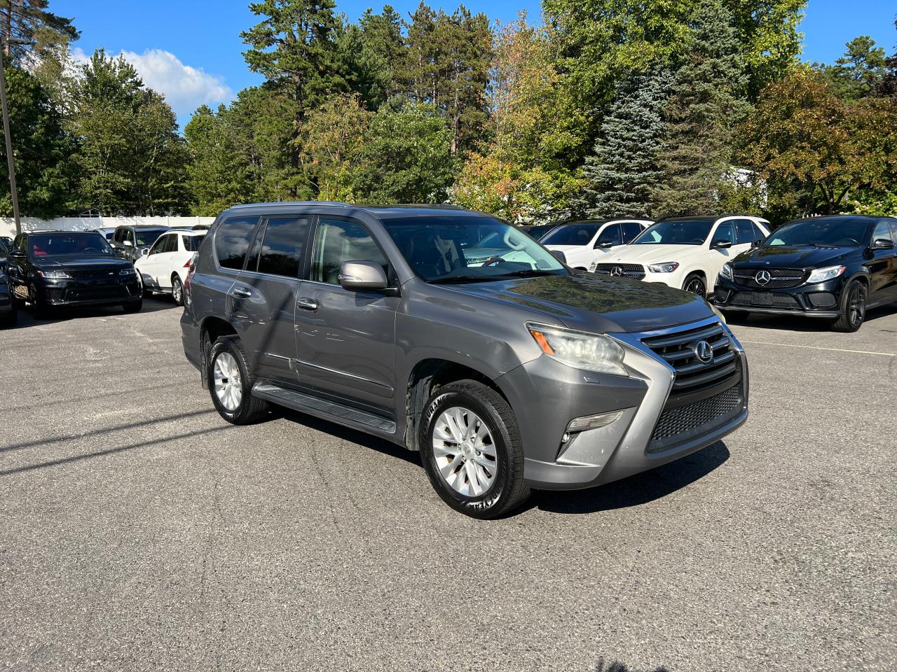 2014 Lexus Gx 460