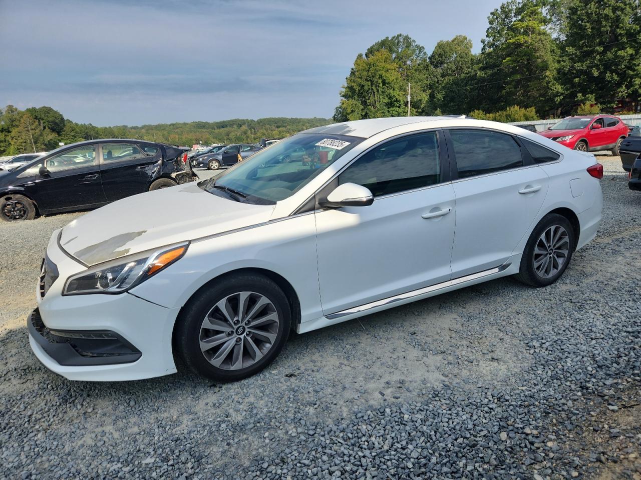 Hyundai Sonata spo