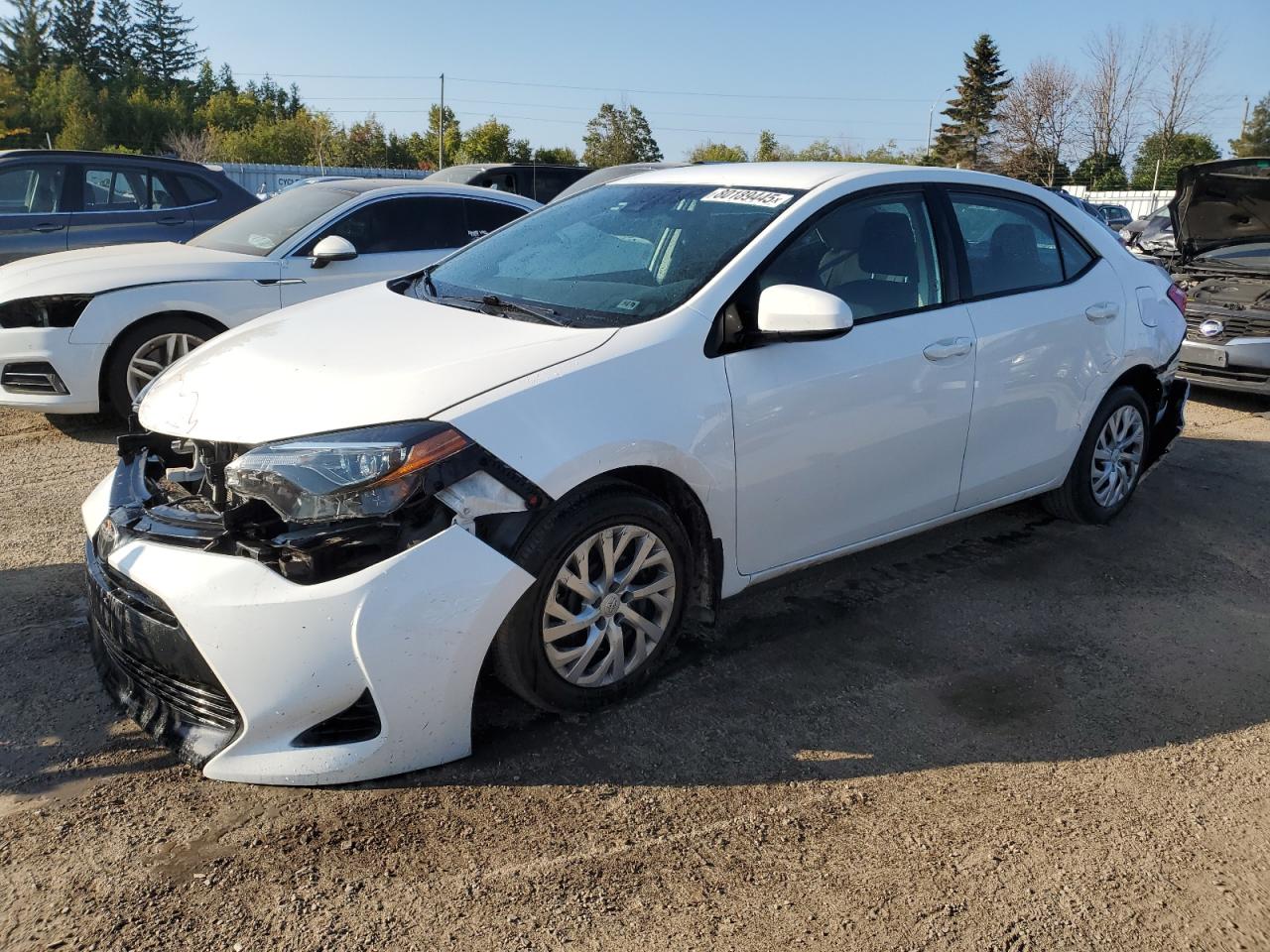 2019 Toyota Corolla l L