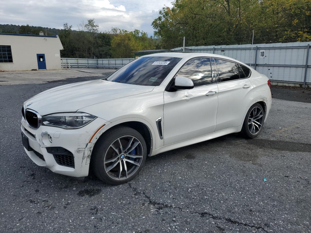 2016 BMW X6 M