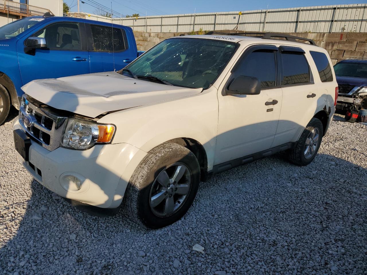 2012 Ford Escape xlt XLT