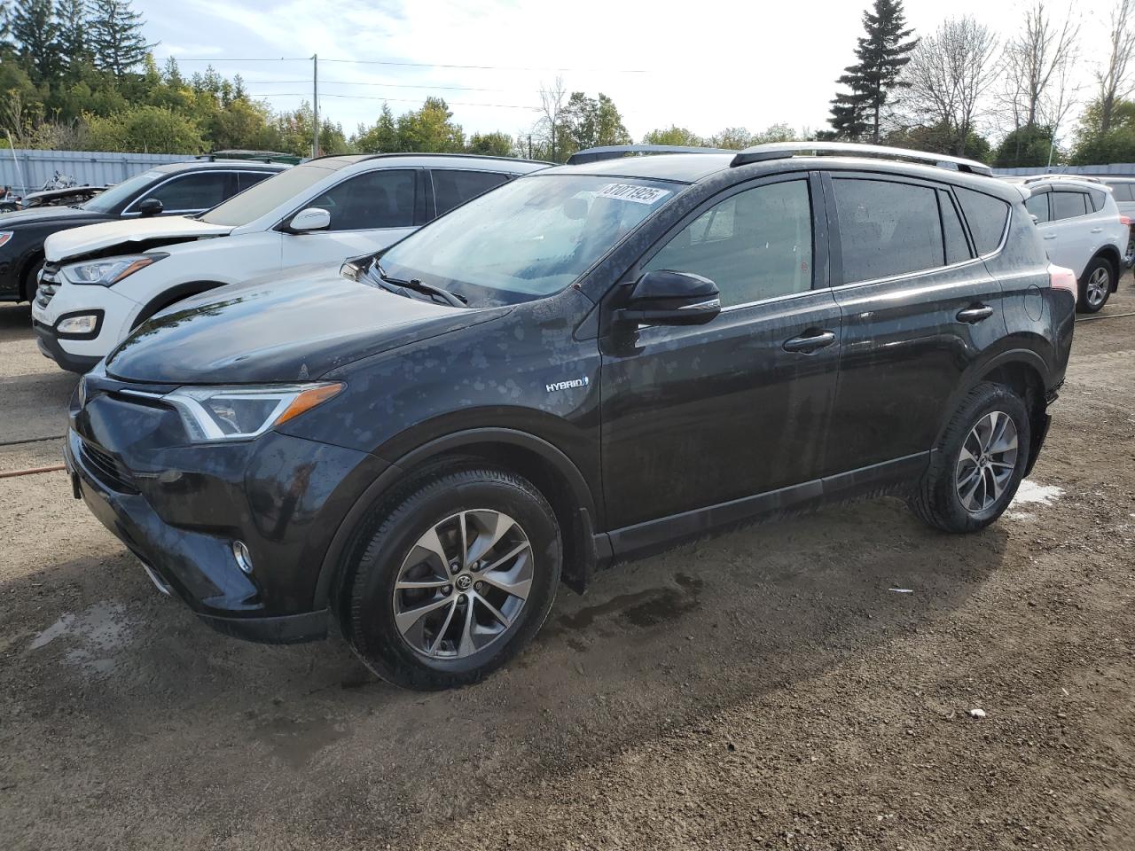 2018 Toyota Rav4 hv le LE