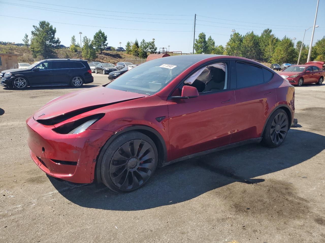 2025 Tesla Model y