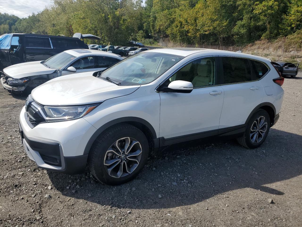 2021 Honda Cr-v ex EX