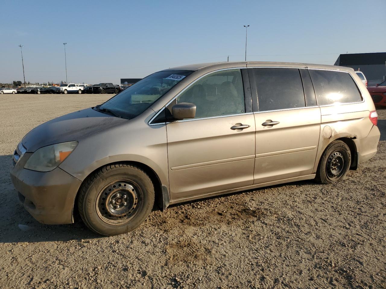 2005 Honda Odyssey exl EXL
