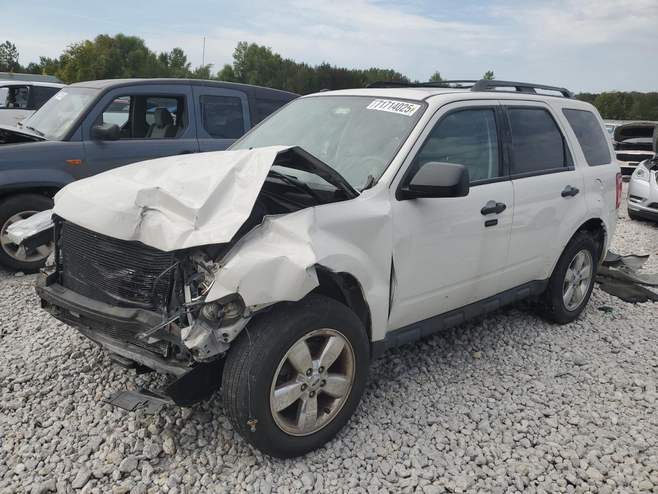 2012 Ford Escape xlt XLT