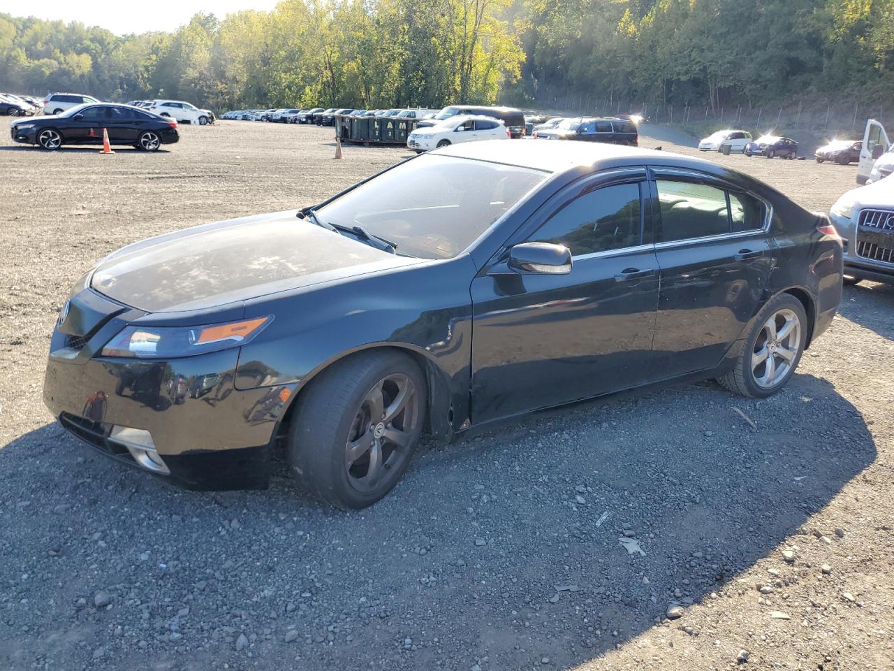 2010 Acura Tl