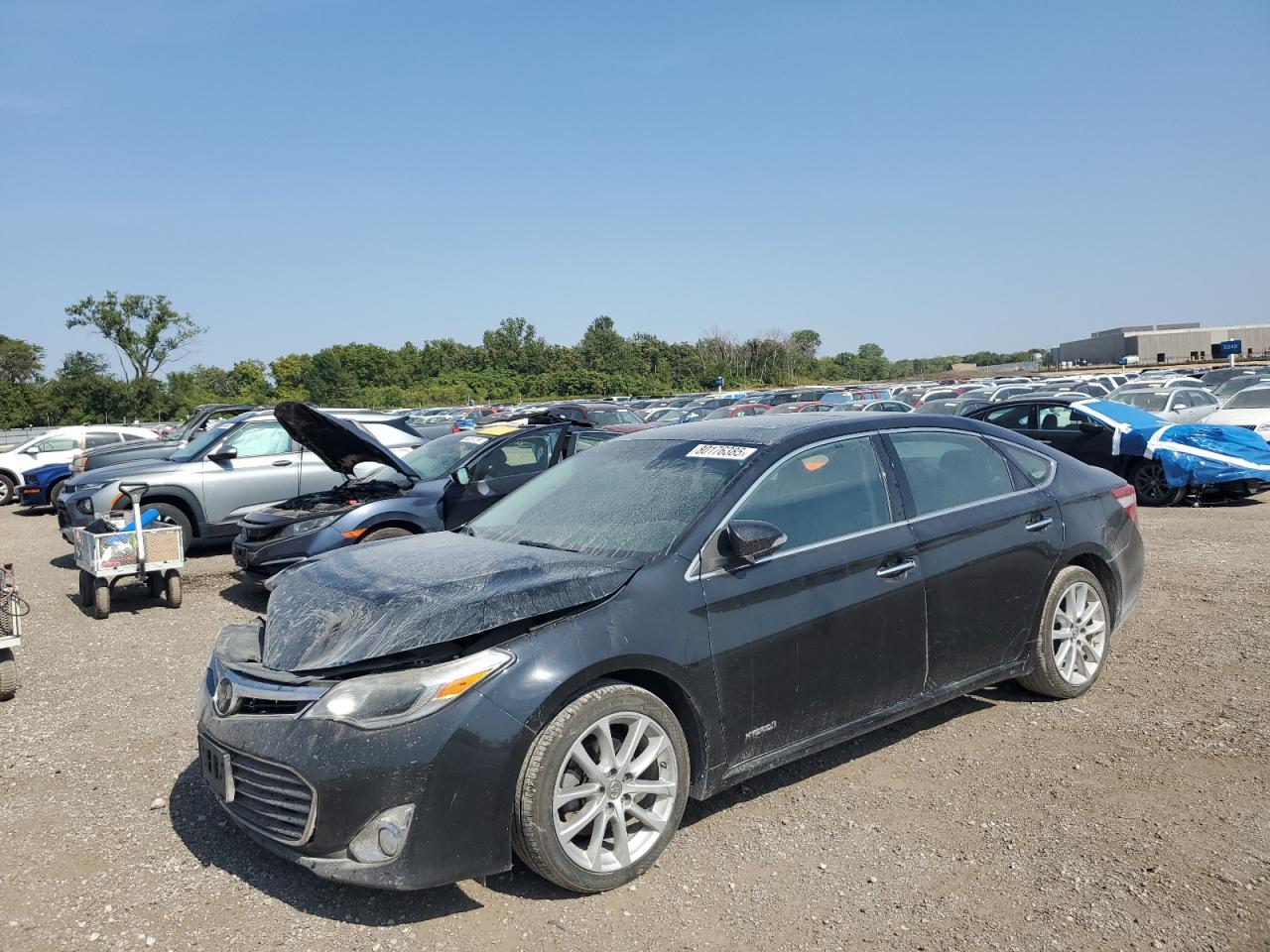 2015 Toyota Avalon hyb HYBRID