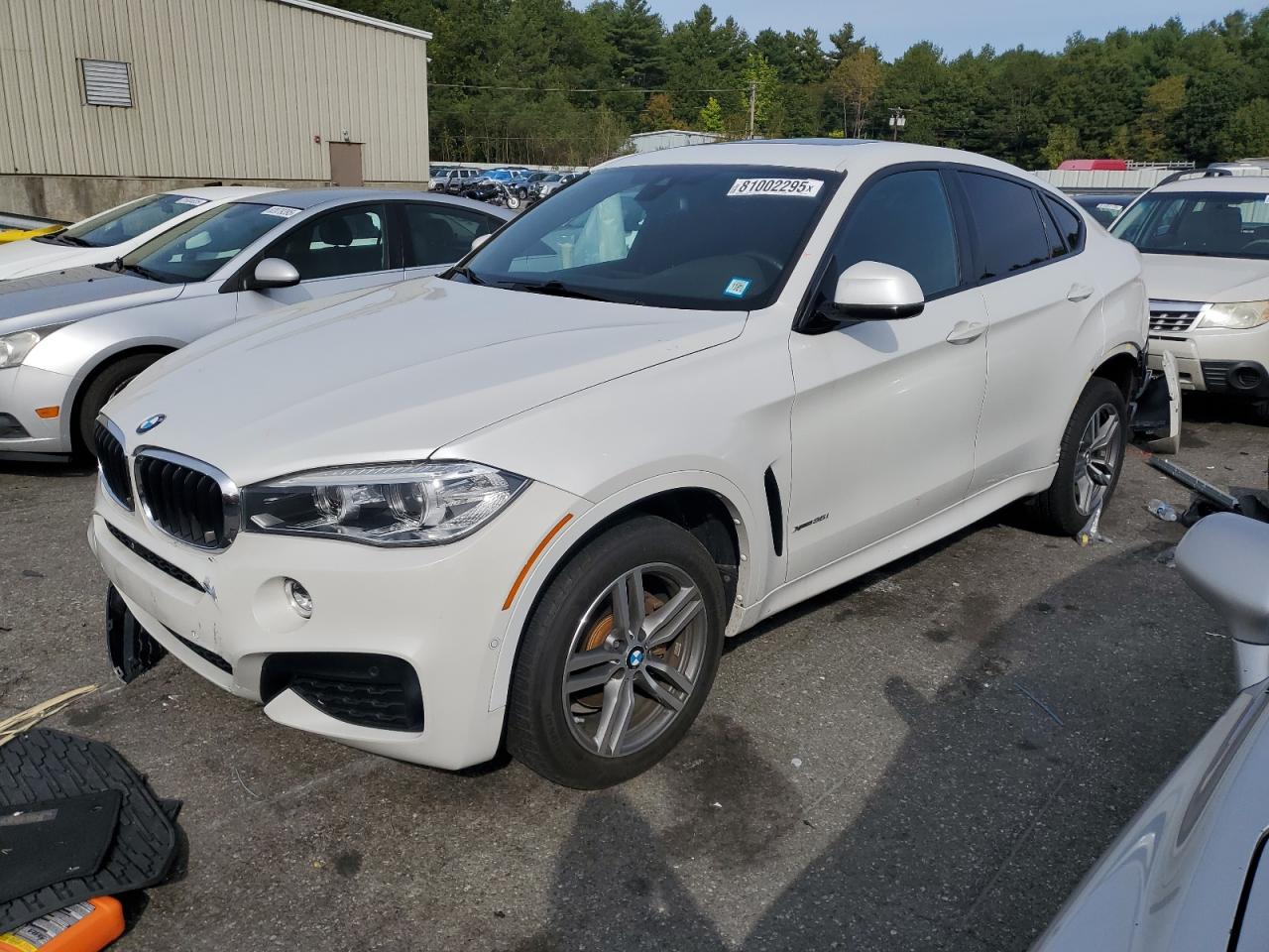 2019 BMW X6