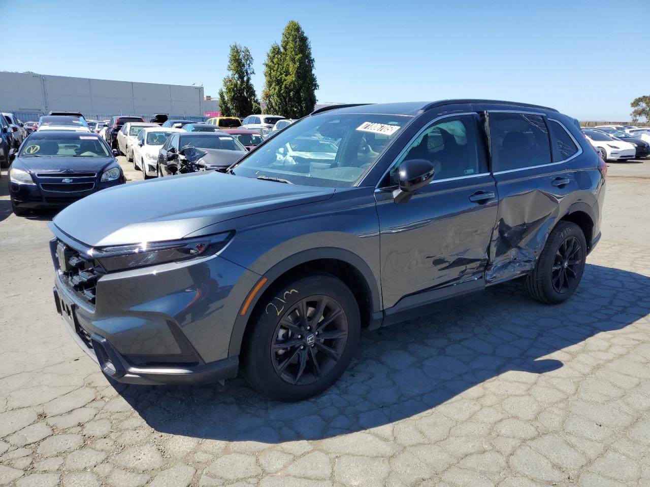 2023 Honda Cr-v sport SPORT