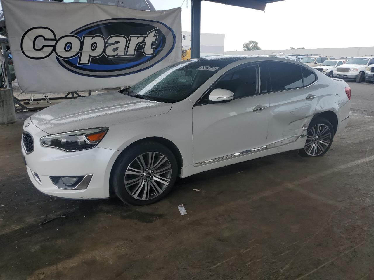 2014 Kia Cadenza Premium