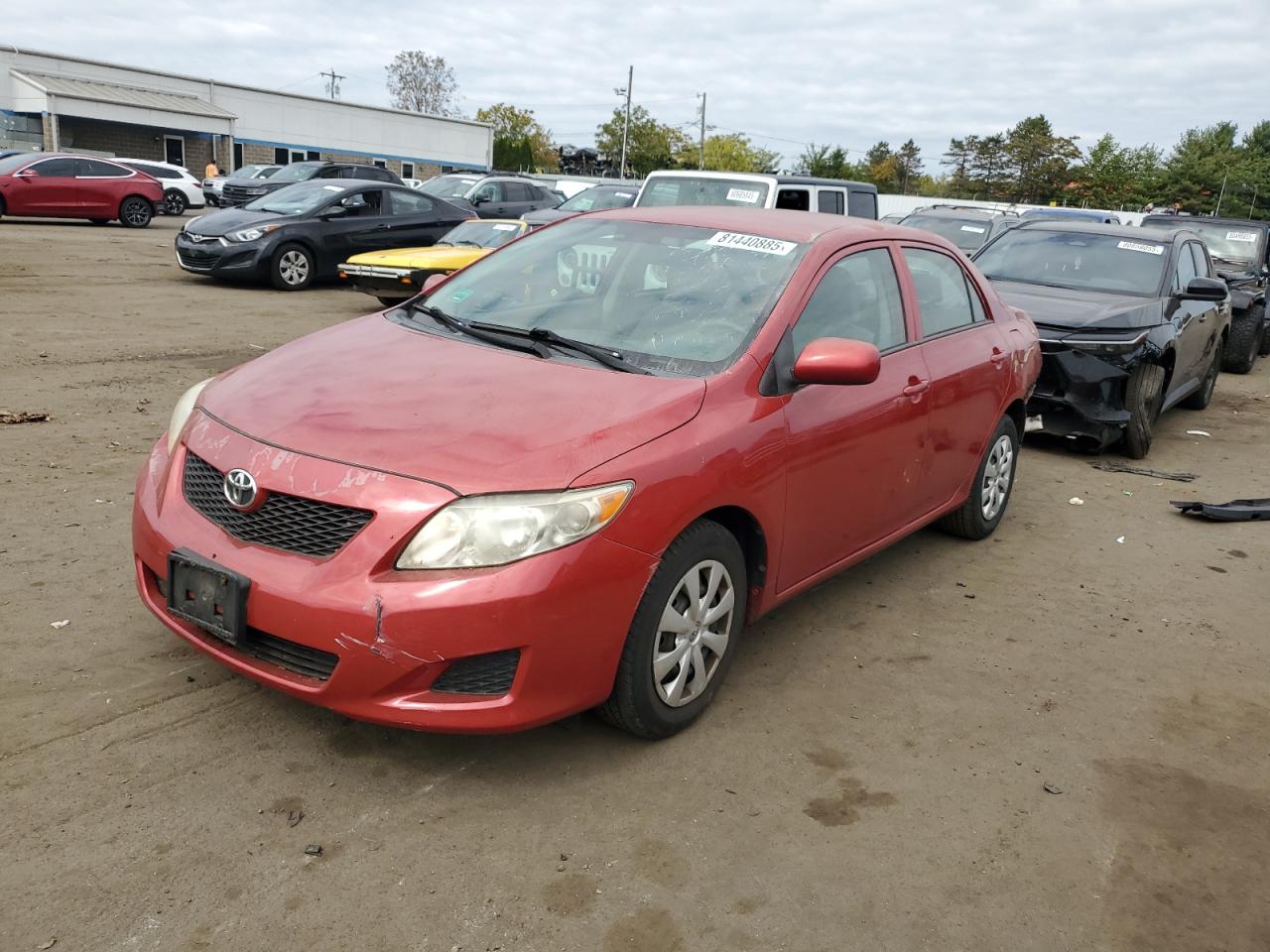 Toyota Corolla ba