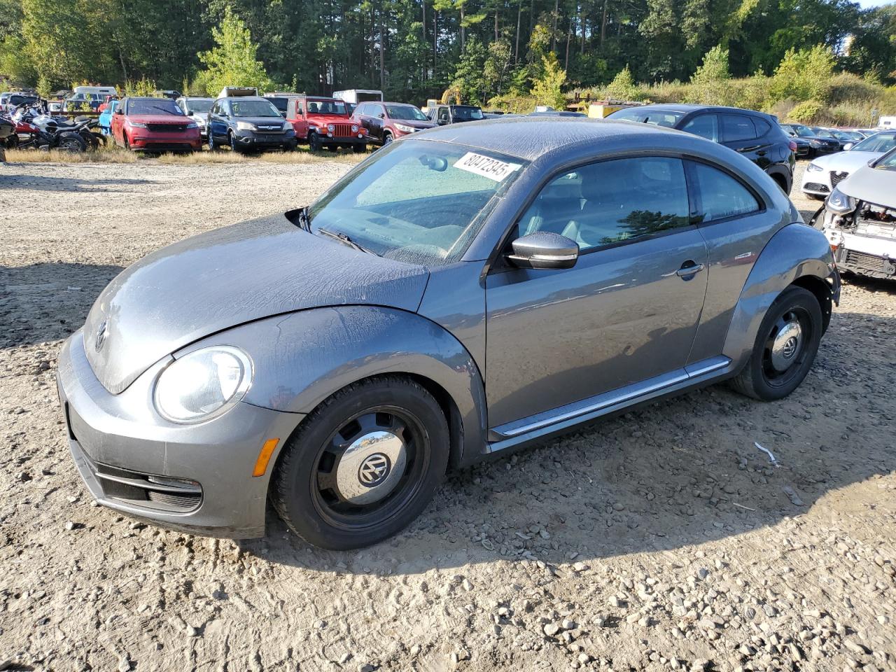 2013 Volkswagen Beetle