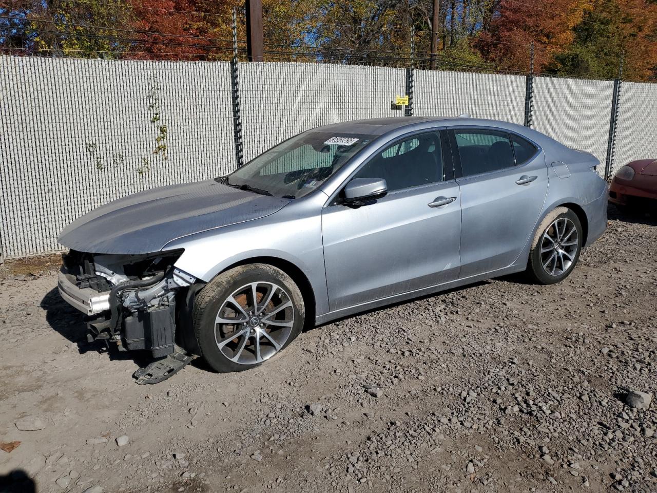2019 Acura TLX