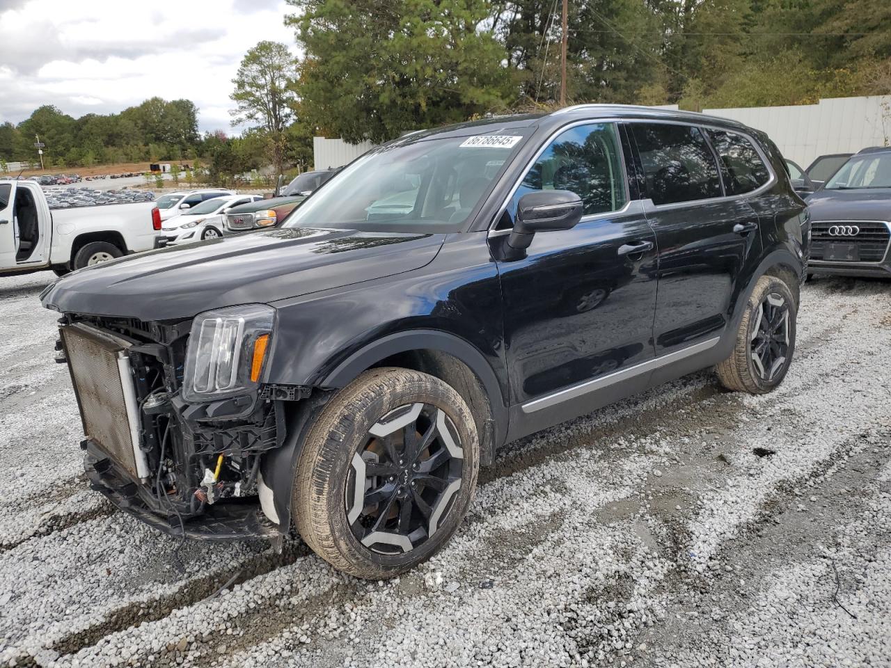 2024 Kia Telluride