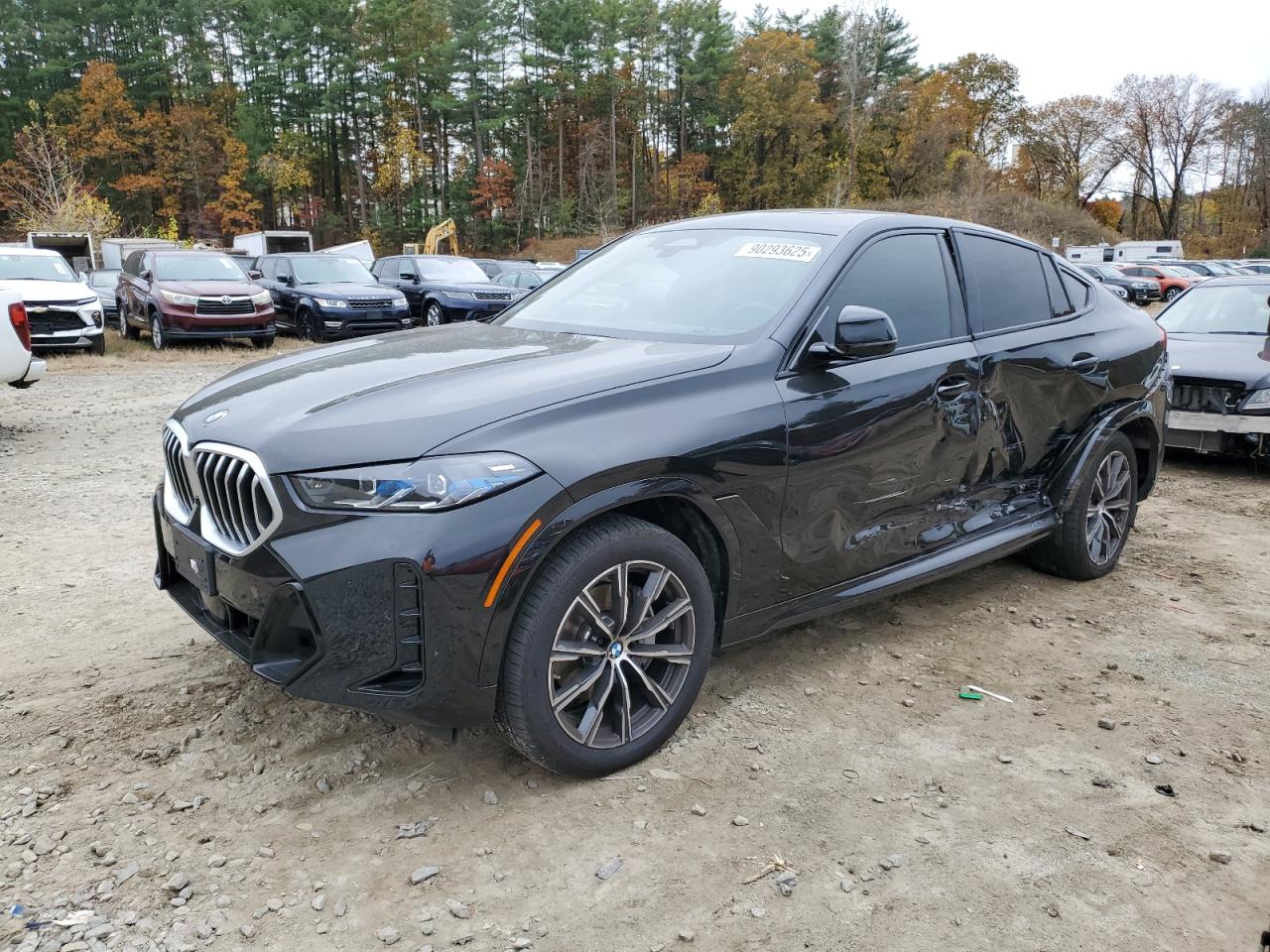 2024 BMW X6