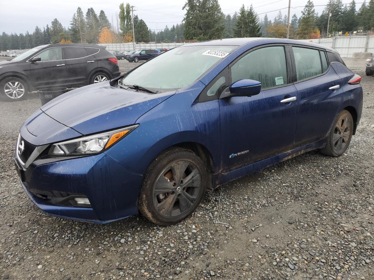 2019 Nissan Leaf