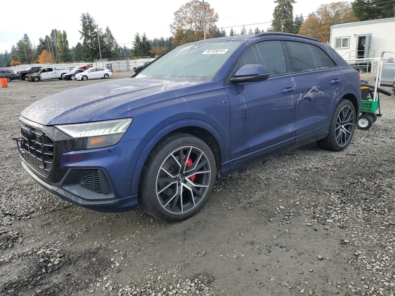 2019 Audi Q8