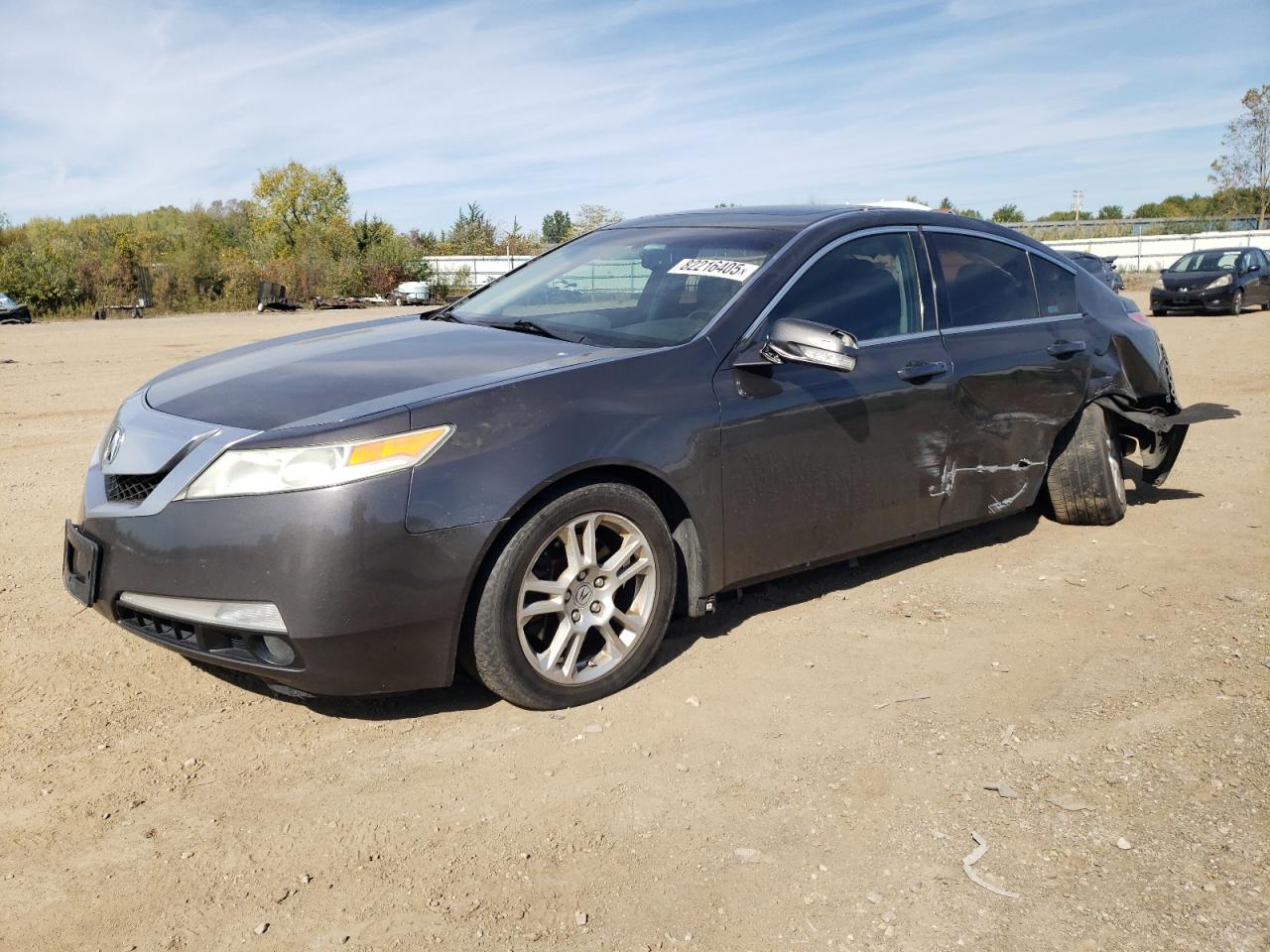2009 Acura TL