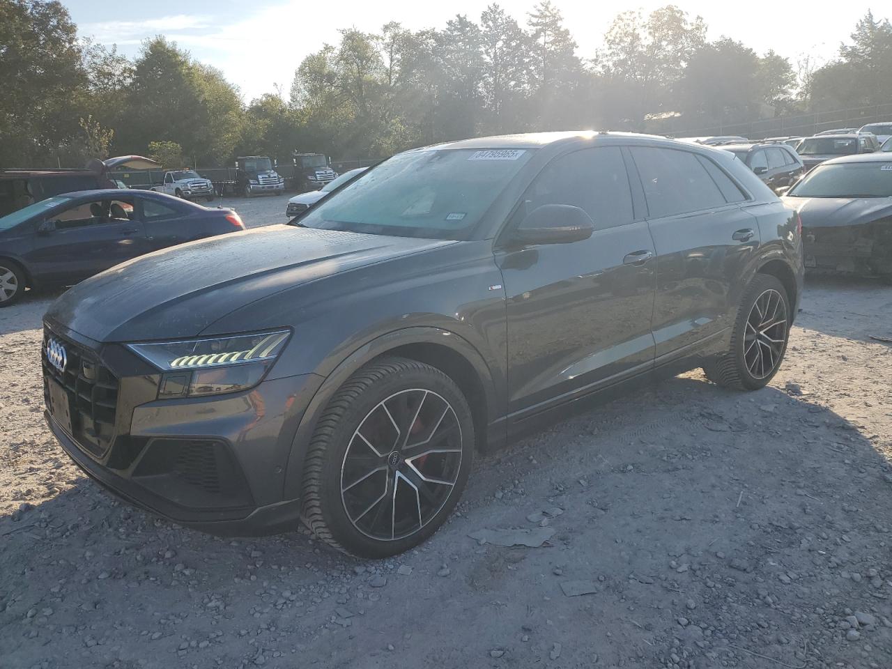 2019 Audi Q8