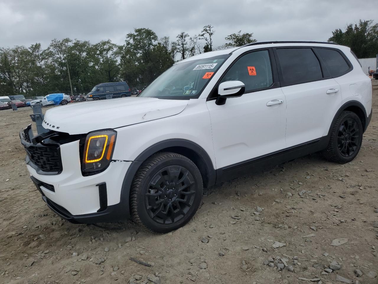 2021 Kia Telluride