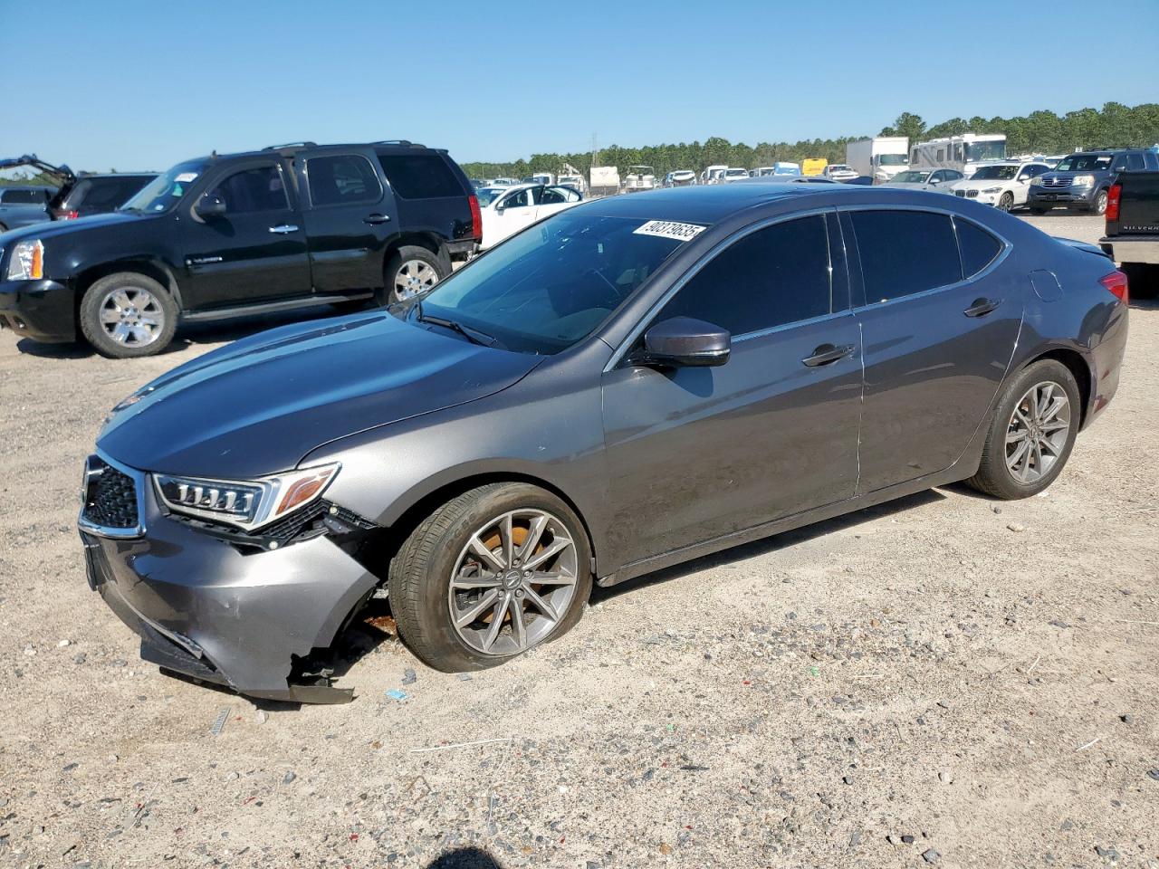 2019 Acura TLX