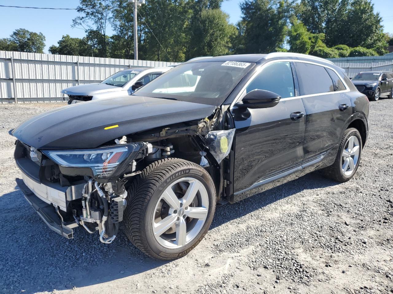 2019 Audi e-tron