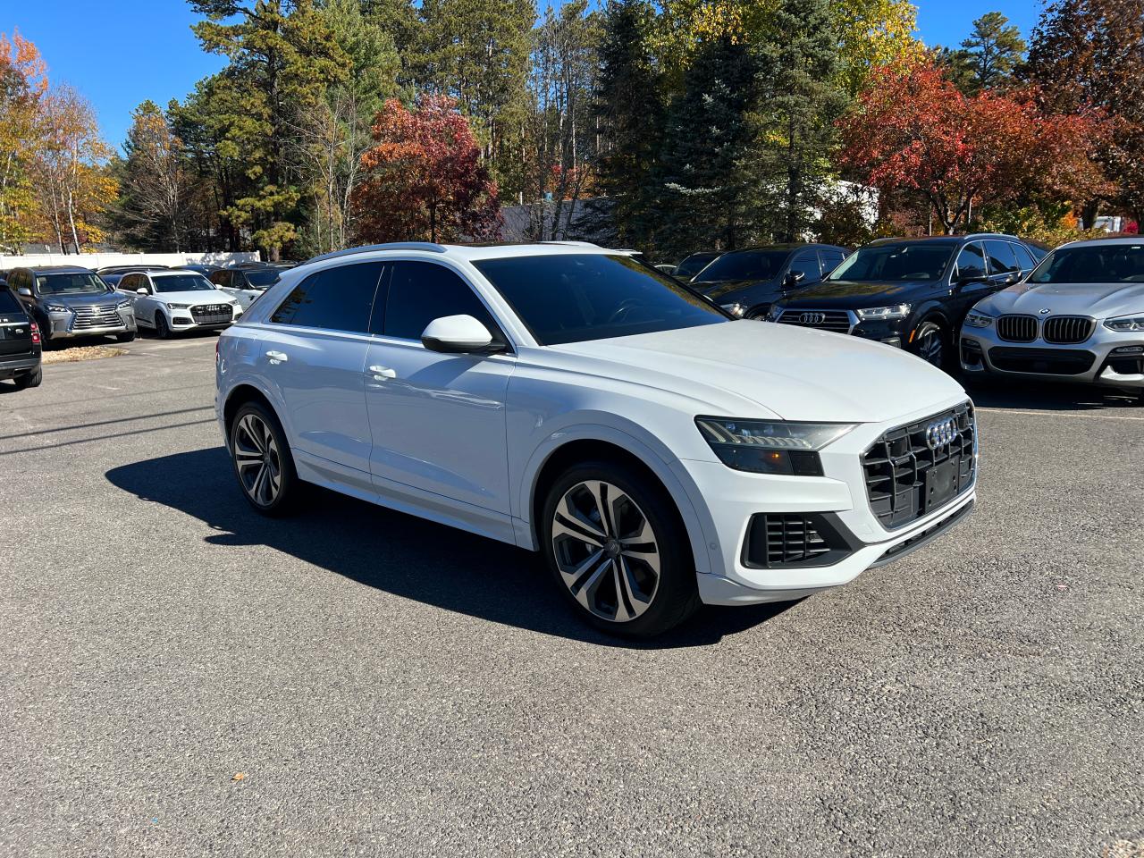 2019 Audi Q8