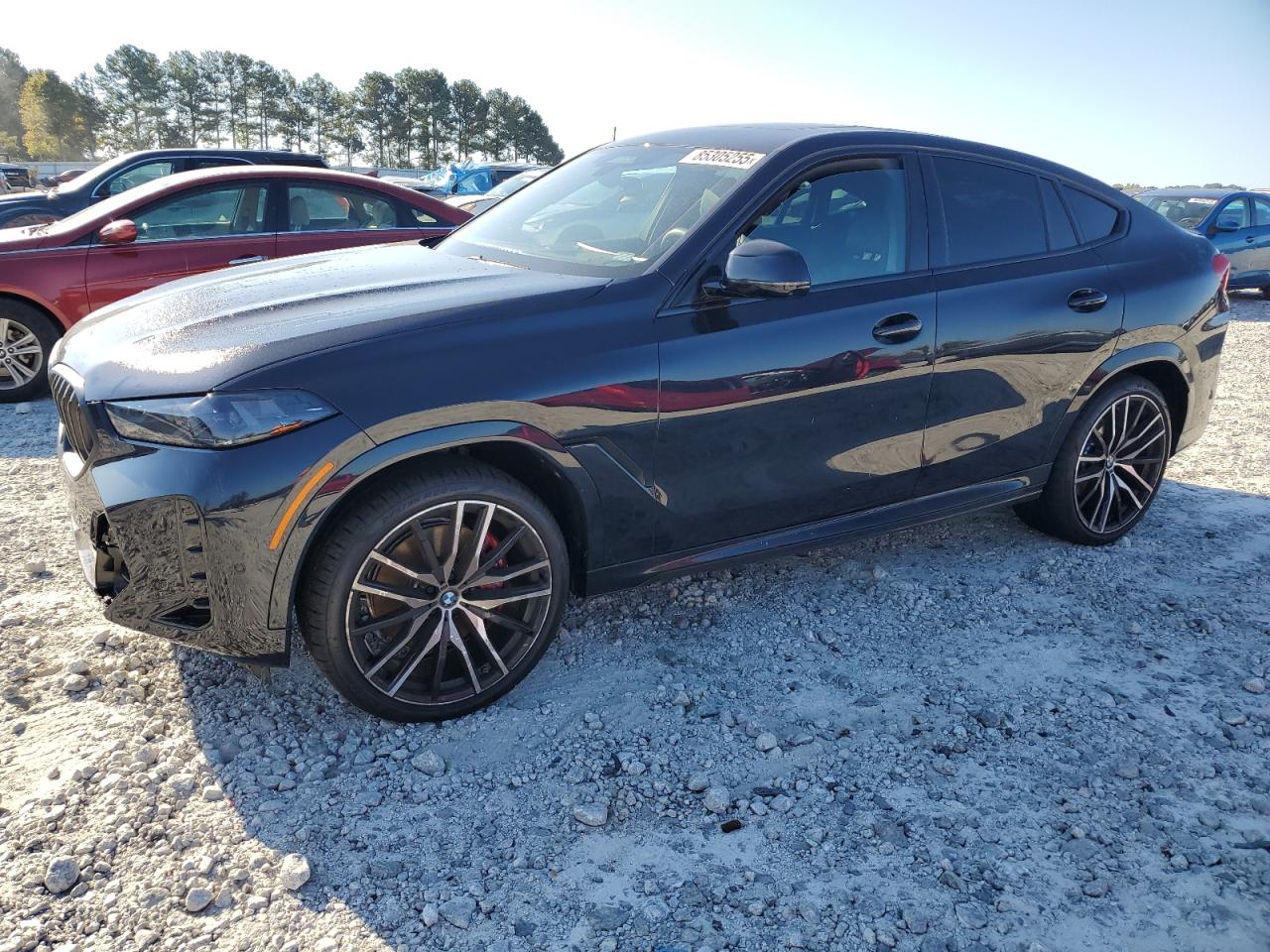 2026 BMW X6
