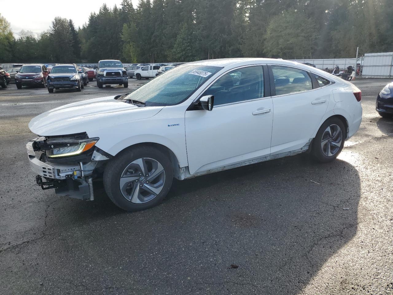 2019 Honda Insight