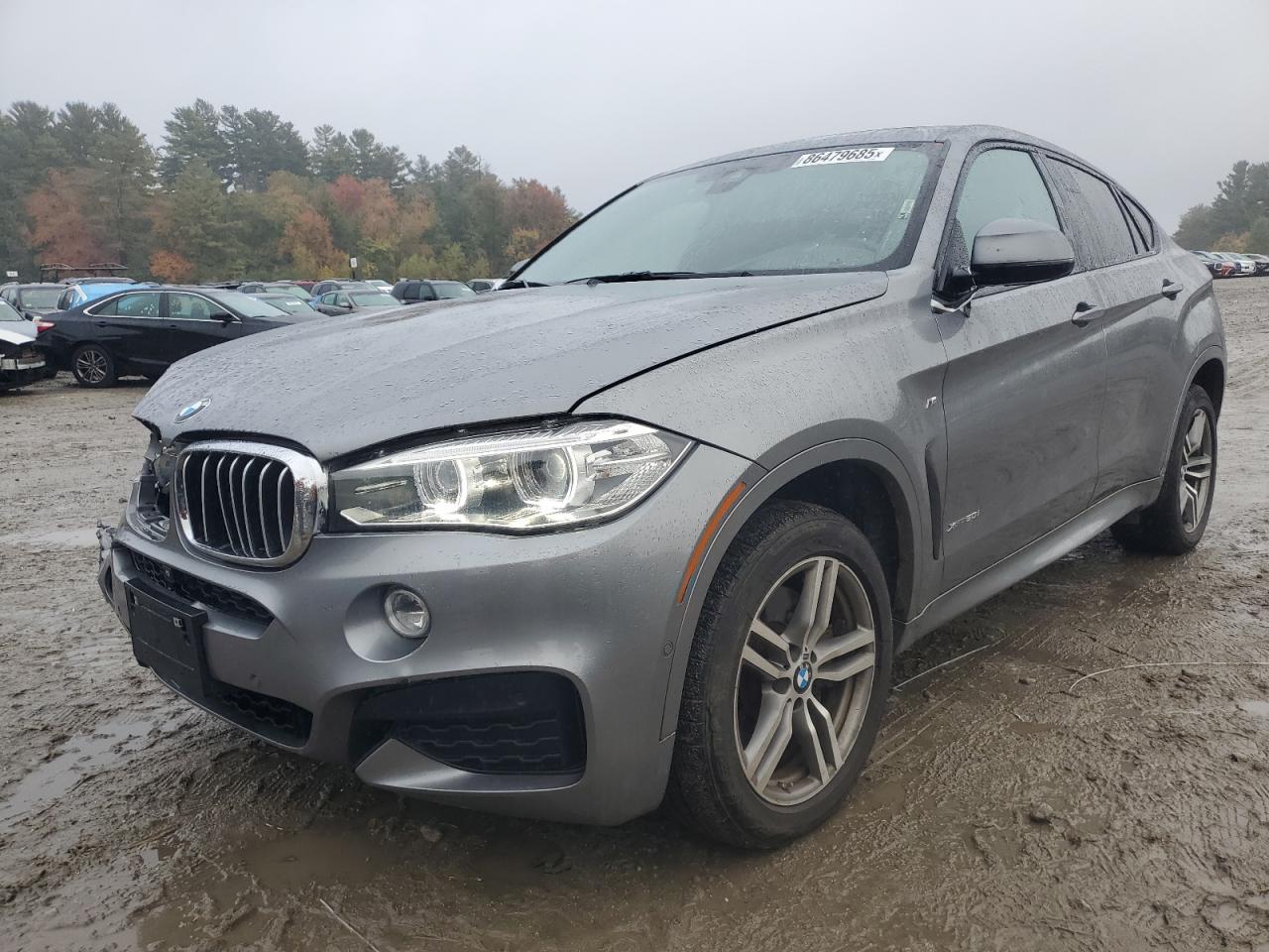 2018 BMW X6