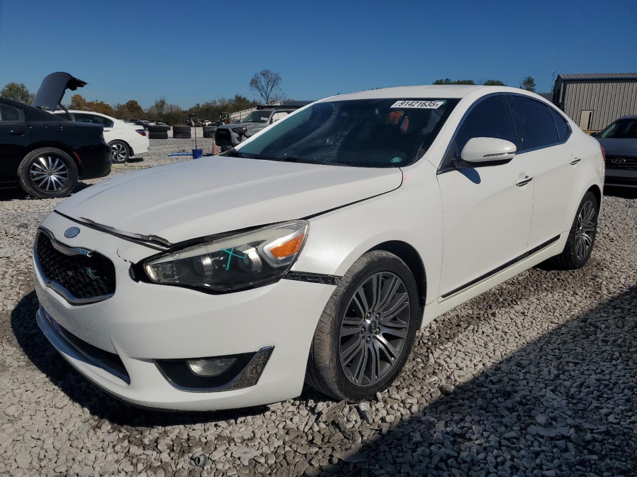 2014 Kia Cadenza